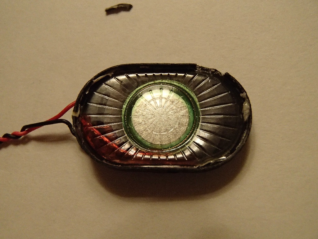 Ting-8.jpg